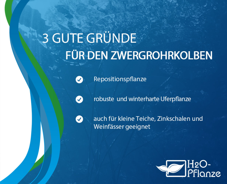 Preview: Kaufgründe